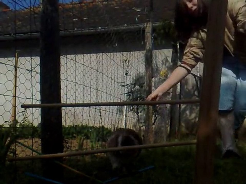 prune en saut !!!!!!!