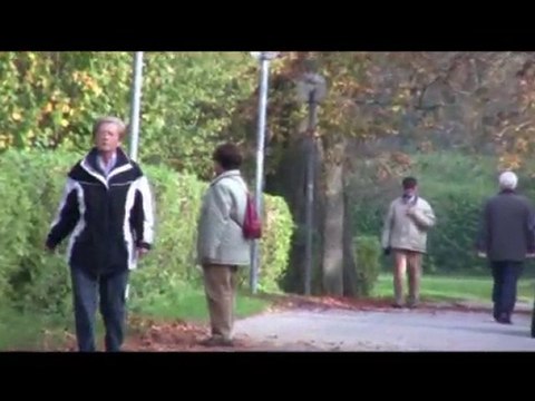 Der Stadtsee der Stadt Bad Waldsee