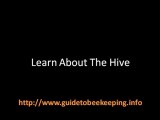 Beekeeping Classes - What About Them?