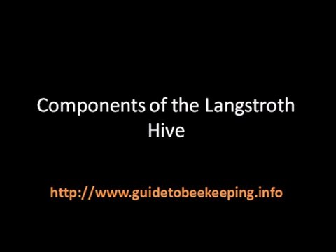 Beekeeping Hives - Do You Know The Langstroth Beehive?