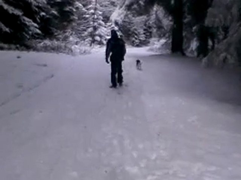 Vidéo-0009