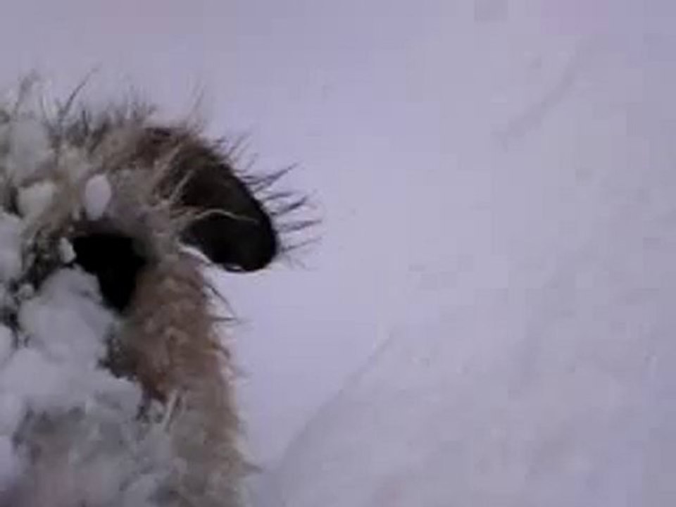 Vidéo-0013