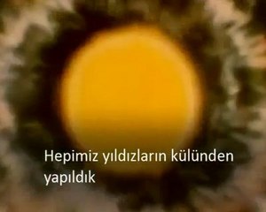 We Are All Connected