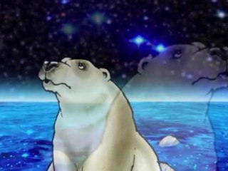 L'ours blanc