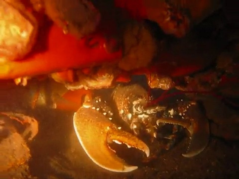 Extrait du film lagrandenacre  edition plongée epave