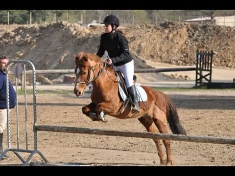 Concours 25 avril 2010 - Eclipse et moi