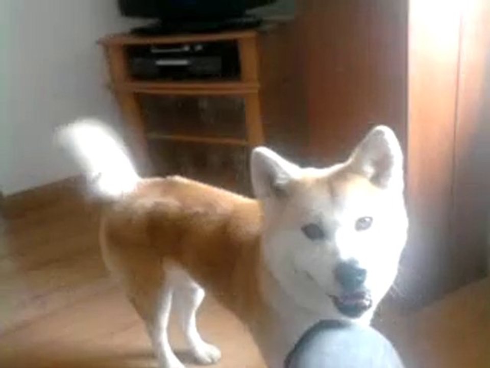 Vidéo0027
