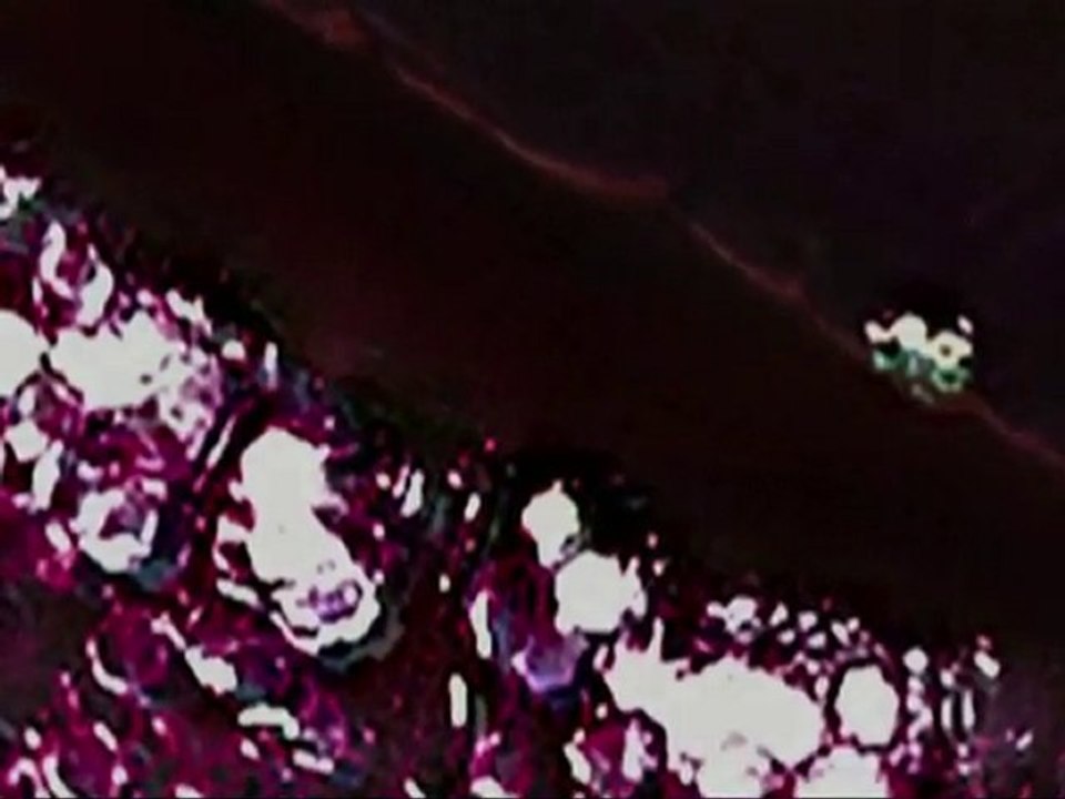 Tendance Maquillage META - Hiver 2010-2011