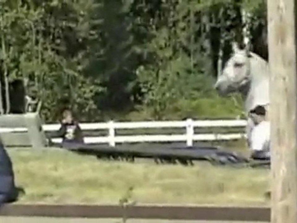 World's Largest Horse