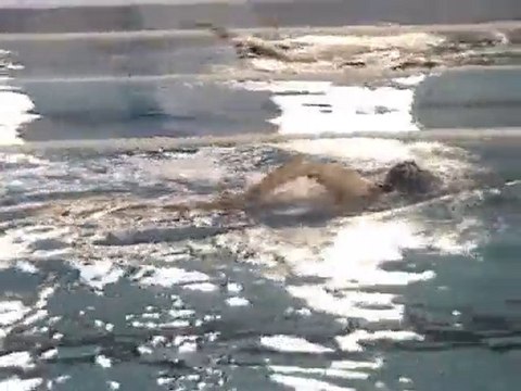 Práticas natación