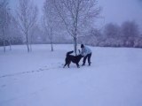 Bones et la neige avec maman!!