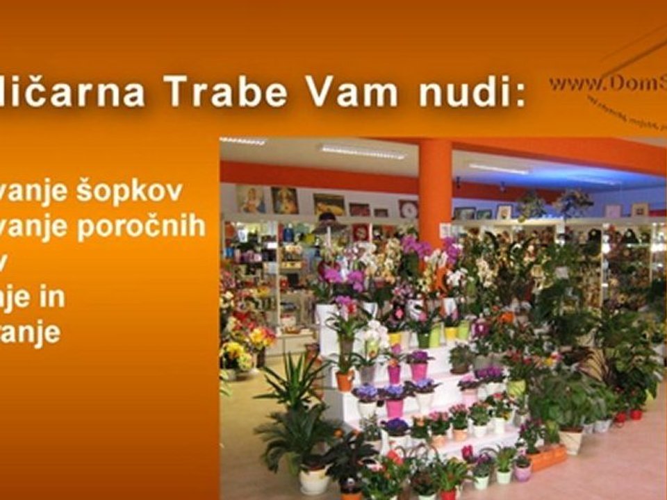 Vrtnarstvo Trabe, Niko Trabe s.p.