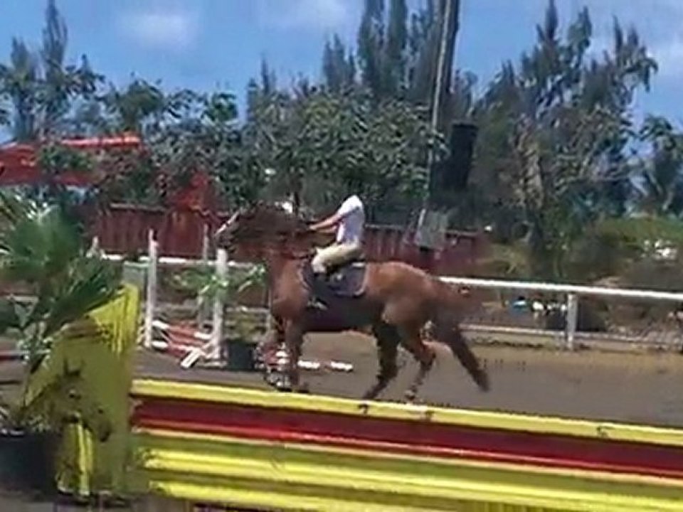 21.11.10 - CSO club  EMR - club 3 vitesse - SophieHoppy