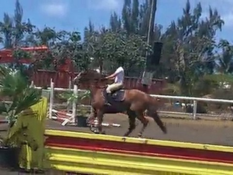 21.11.10 - CSO club EMR - club 3 vitesse - SophieHoppy