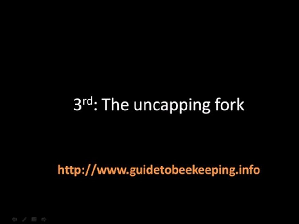 Backyard Beekeeping 3 Things About Backyard Beekeeping