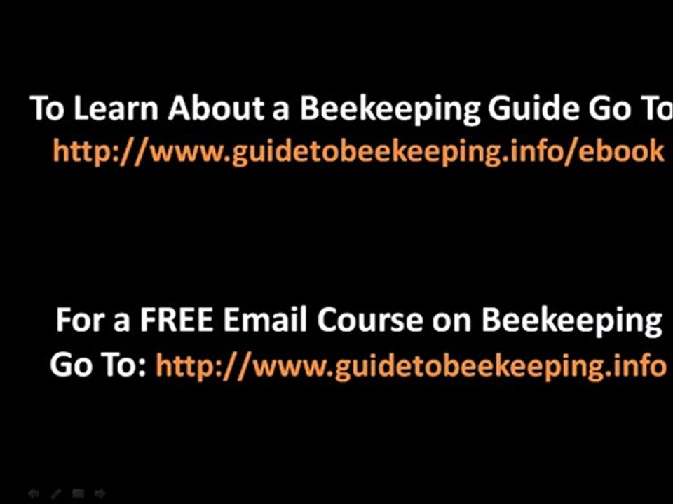 Beekeeping Lessons - Why Receive Beekeeping Lessons?