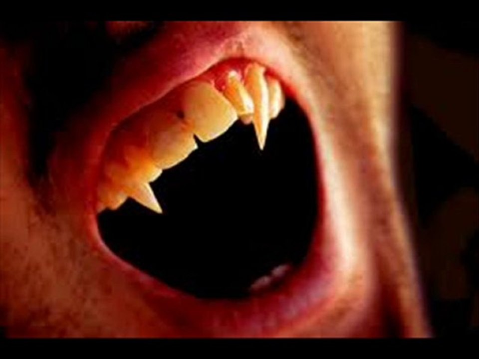 The Leech by C.Kane & Brocnclef 1991