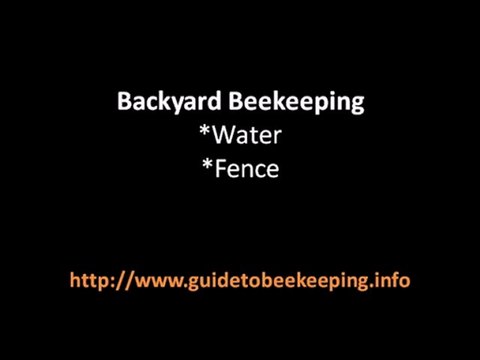 Beginning Beekeeping - 3 Things That Could Be Interesting