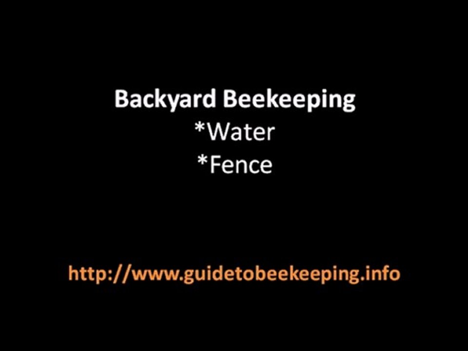 Beginning Beekeeping - 3 Things That Could Be Interesting