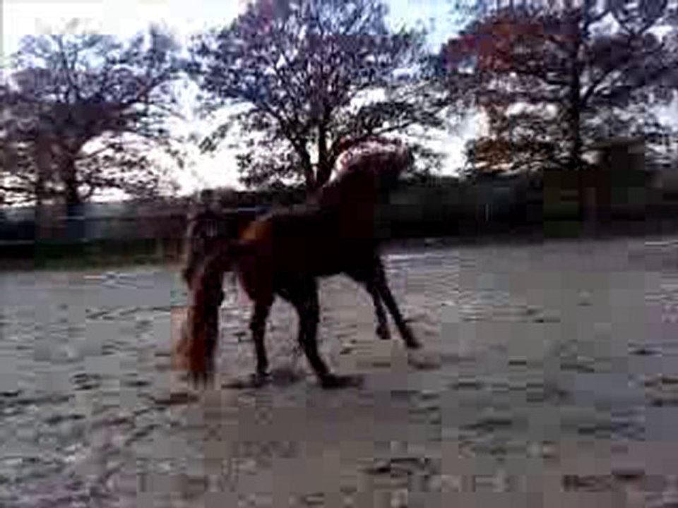 real bouinage carrière