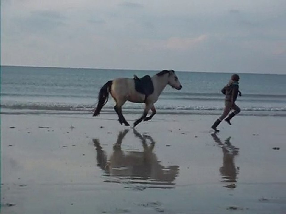 dridri 28 nov. 2010 - plage
