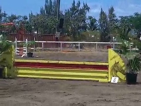 21.11.10 - CSO club EMR - club 3 vitesse - MaitéNino