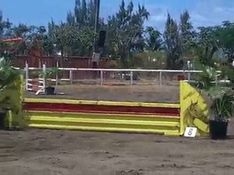 21.11.10 - CSO club  EMR - club 3 vitesse - MaitéNino