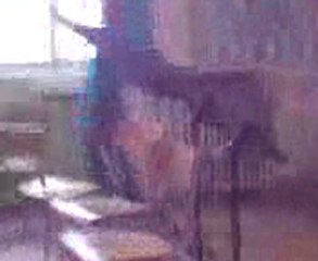 Vidéo0045(1)