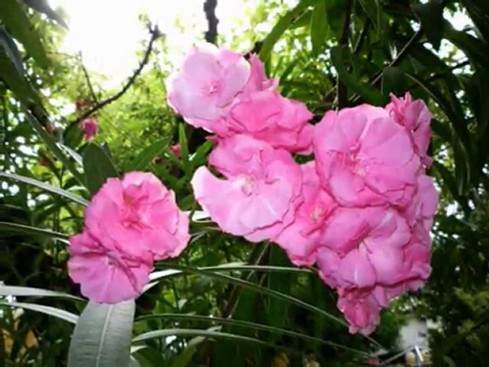 Cho Đời Chút Ơn