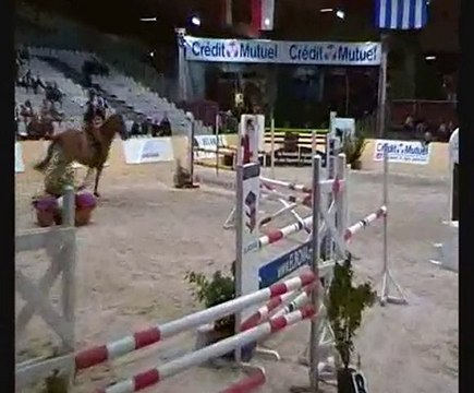 Quissou - hongre SF - 6 ans - 1m71 pour CSO 125/130