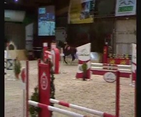 Roxane d'éloax - jument SF - 5 ans - 1m68