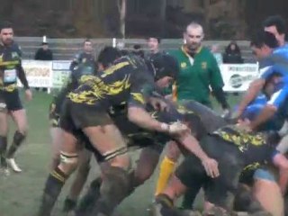 Victoire pour les jaunes et noirs