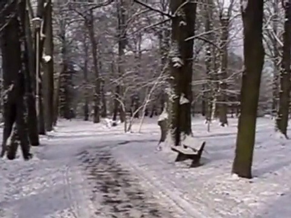 KOSZALIN-ZIMA W PARKU