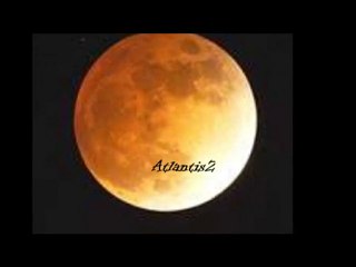 Avalon Corporation LTD