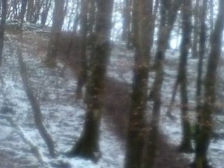 La descente de jean-luc 33-36