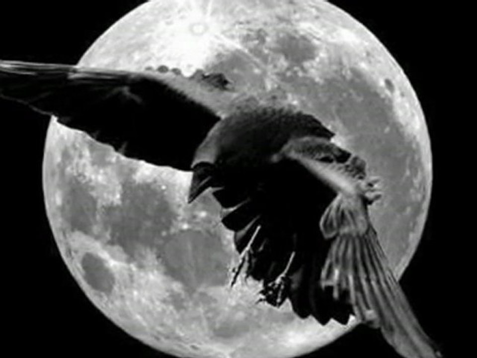 Nass Alghiwane-Rod Balek