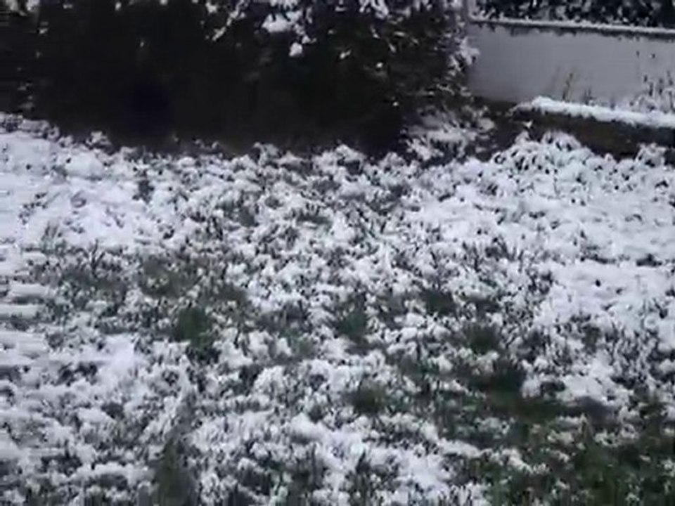 vidéo neige