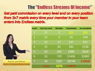 Endless Streams Of Income Plan