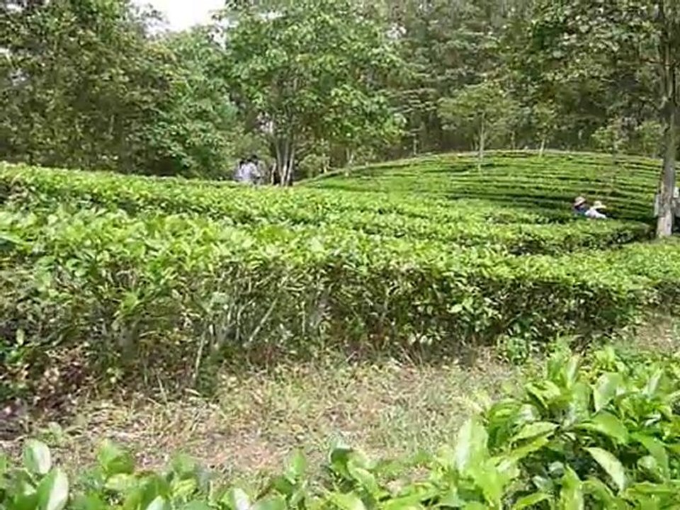 P1110947