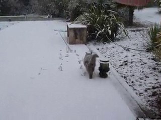 2010 11 27 chatou sous la neige