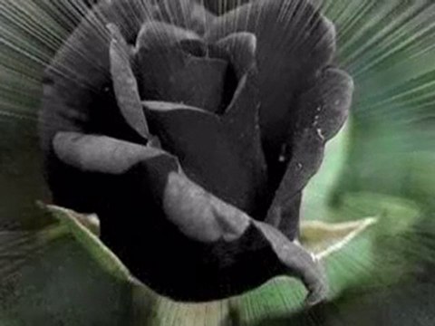 NUREM47EMİNAMIN SİYAH GÖZLERİNE BENİ DE GÖTÜR-İBRAHİM SADRİ