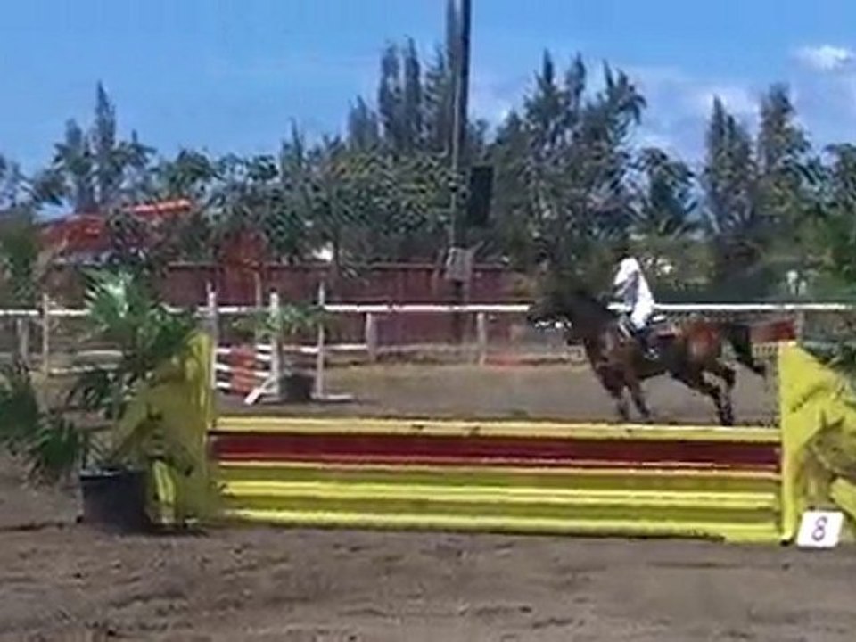 21.11.10 - CSO club  EMR - club 3 vitesse - MargauxGavroche