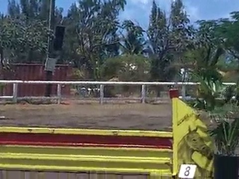 21.11.10 - CSO club EMR - club 3 vitesse - SandraBelle