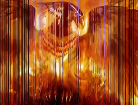 BİR ANKA KUŞU GİBİ