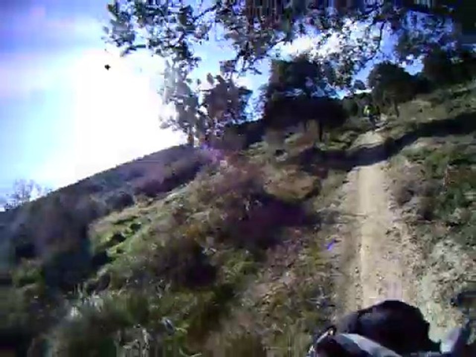 Por el campo 6