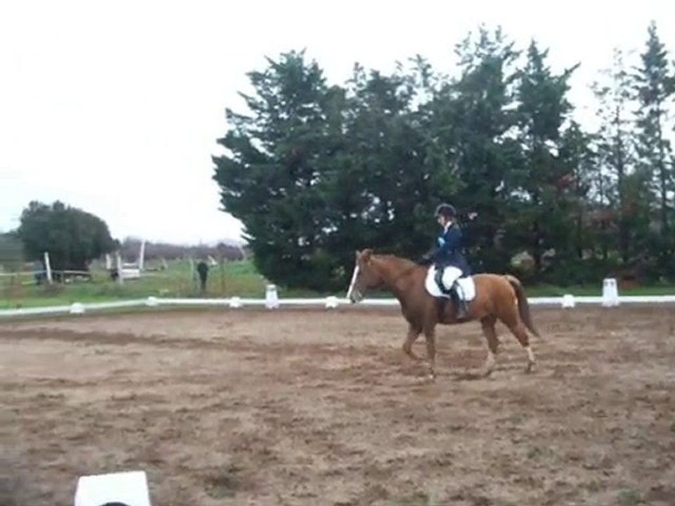 2010-11-28 CCE Saint Gilles Club 1 Dressage