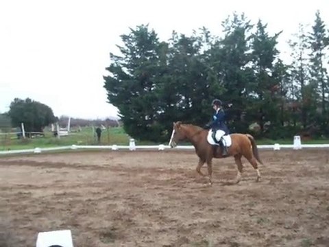 2010-11-28 CCE Saint Gilles Club 1 Dressage