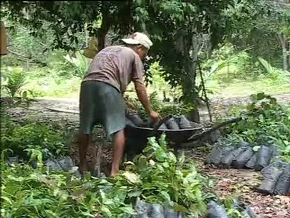 Coeur de Forêt Projet  Brésil 2003 épisode 1