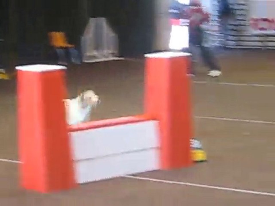 AGILITY LALANDES 2010 008