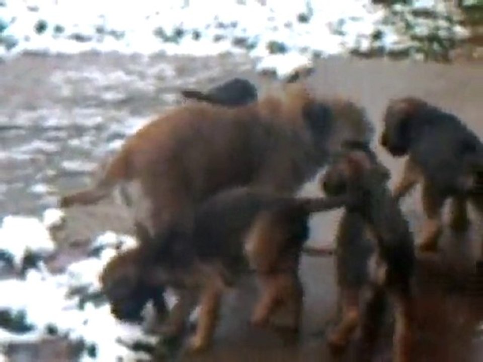 CLIP0006